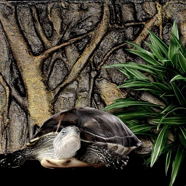 foam rock stone aquarium background board decor for reptile fish tank 60x45cm home accessories decorations
foam rock stone aquarium background board decor for reptile fish tank 60x45cm home accessories decorations