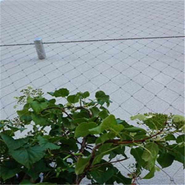 fencing, trellis & gates plant climbing green wall mesh, stainless steel wire rope mesh for
fencing, trellis & gates plant climbing green wall mesh, stainless steel wire rope mesh for
