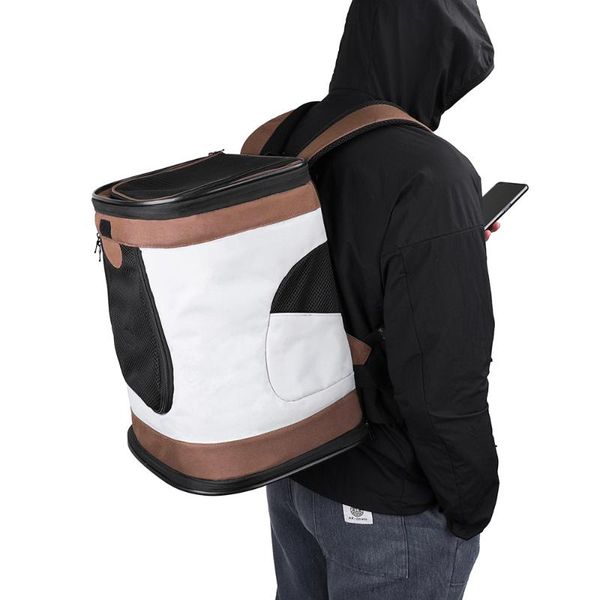 cat carriers,crates & houses abamita pet carrier bags outdoor mesh backpack breathable bag dogs portable comfort carrying small medium dog
cat carriers,crates & houses abamita pet carrier bags outdoor mesh backpack breathable bag dogs portable comfort carrying small medium dog