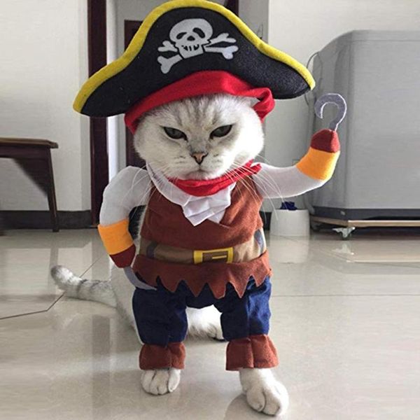 cat costumes halloween dog small clothes cosplay pirate pet teddy autumn and winter clothing
cat costumes halloween dog small clothes cosplay pirate pet teddy autumn and winter clothing