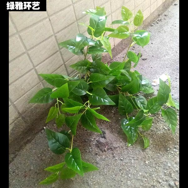 model epipremnum aureum wall rattan vine potted plant grade artificial green vegetation home decoration fake leaf indo decorative flower
model epipremnum aureum wall rattan vine potted plant grade artificial green vegetation home decoration fake leaf indo decorative flower