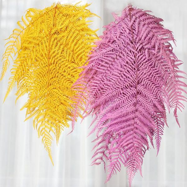 decorative flowers & wreaths 3pcs large big fern leaf preserved multicolor eternal flower home decor floral decoration accessor
decorative flowers & wreaths 3pcs large big fern leaf preserved multicolor eternal flower home decor floral decoration accessor