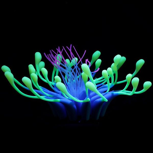 colorful underwater decorations fish tank background water grass ornament aquarium decoration
colorful underwater decorations fish tank background water grass ornament aquarium decoration