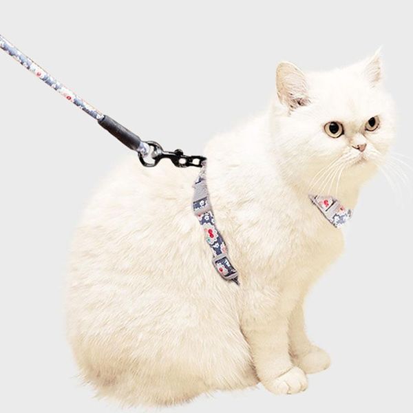 dog collars & leashes 2021 adjustable training pet puppy cat nylon harness lead traction rope belt chest back
dog collars & leashes 2021 adjustable training pet puppy cat nylon harness lead traction rope belt chest back