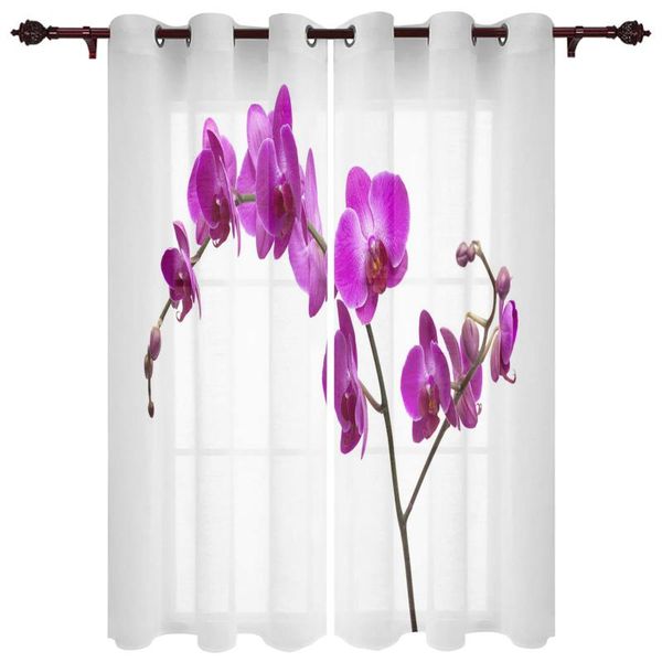 plant phalaenopsis flower branch window curtain living room luxury bay curtains valance for kitchen & drapes
plant phalaenopsis flower branch window curtain living room luxury bay curtains valance for kitchen & drapes