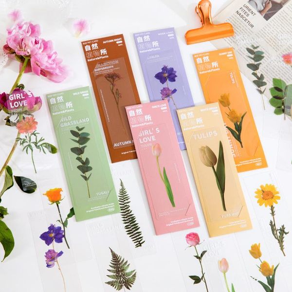 bookmark pet translucent set rectangle natural plant series ins planner diy decoration material student stationery 5 sheets/set
bookmark pet translucent set rectangle natural plant series ins planner diy decoration material student stationery 5 sheets/set