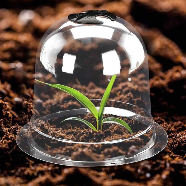 garden cloche plant bell cover anti-e jar nail plastic mini greenhouse for frost e cold protection grow box planters & pots
garden cloche plant bell cover anti-e jar nail plastic mini greenhouse for frost e cold protection grow box planters & pots