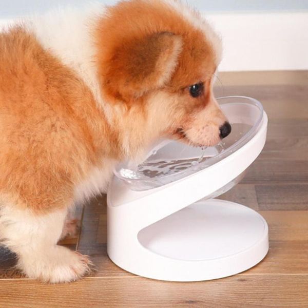 cat bowls & feeders pet food feeder 15 degree bolique design neck guard transparent round feeding bowl cats supplies
cat bowls & feeders pet food feeder 15 degree bolique design neck guard transparent round feeding bowl cats supplies