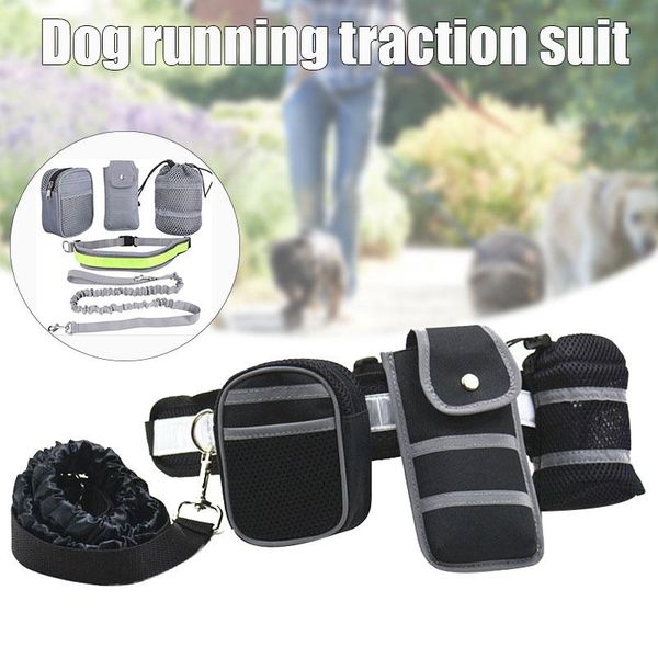 reflective strip elastic leash training dog set hands pet cat running padded waist belt thin889 collars & leashes
reflective strip elastic leash training dog set hands pet cat running padded waist belt thin889 collars & leashes