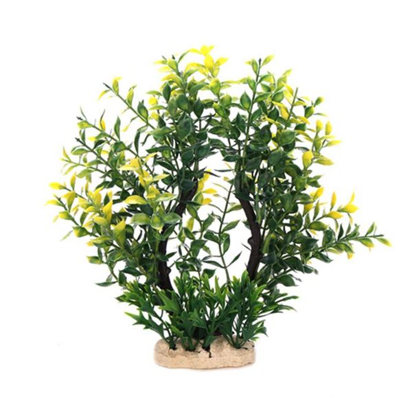 decorations aquarium plants for freshwater fish tanks artificial realistic multifunction underwater terrarium environments reptiles crabs
decorations aquarium plants for freshwater fish tanks artificial realistic multifunction underwater terrarium environments reptiles crabs