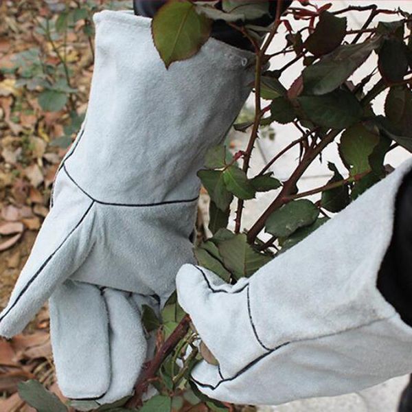 disposable gloves protective glove work cowhide leather factory driver climbing gardening safety garden tool
disposable gloves protective glove work cowhide leather factory driver climbing gardening safety garden tool