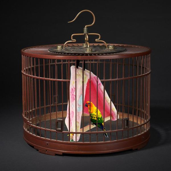 pet birds parrot plush hammock cage happy hut tent bed hanging cave swing toys bird cages
pet birds parrot plush hammock cage happy hut tent bed hanging cave swing toys bird cages
