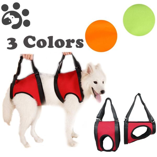 dog collars & leashes dogs harness outdoor walking assist collar leash for small large vest puppy pet accessories basic pets mp0004
dog collars & leashes dogs harness outdoor walking assist collar leash for small large vest puppy pet accessories basic pets mp0004