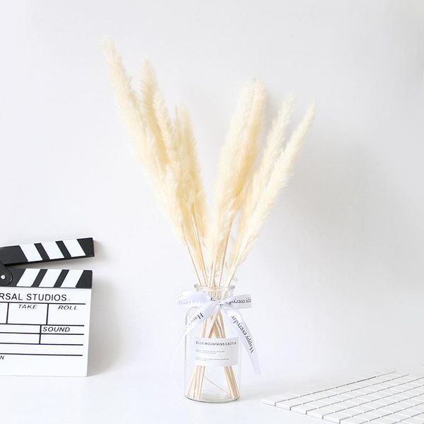 decorative flowers & wreaths 30pcs pink flower pampas grass bouquet ins red decoration nordic romantic window hipster
decorative flowers & wreaths 30pcs pink flower pampas grass bouquet ins red decoration nordic romantic window hipster