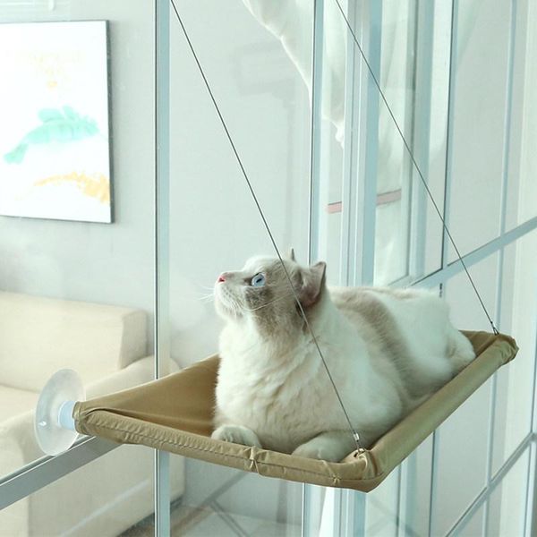 cat hammock hanging window cats sleeping bed for pet swing beds dogs breathable mats pets & furniture
cat hammock hanging window cats sleeping bed for pet swing beds dogs breathable mats pets & furniture