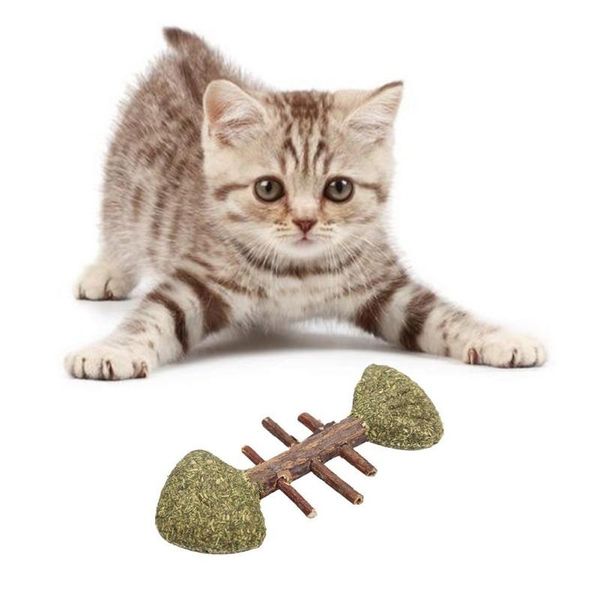pet cat removes hairballs chew on wood toys healthy safety mint toy teeth grinding catnip scratcher
pet cat removes hairballs chew on wood toys healthy safety mint toy teeth grinding catnip scratcher