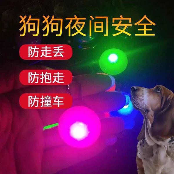 2 pet luminous collar cat night light pendant dog tag teddy golden miniature dog bell
2 pet luminous collar cat night light pendant dog tag teddy golden miniature dog bell