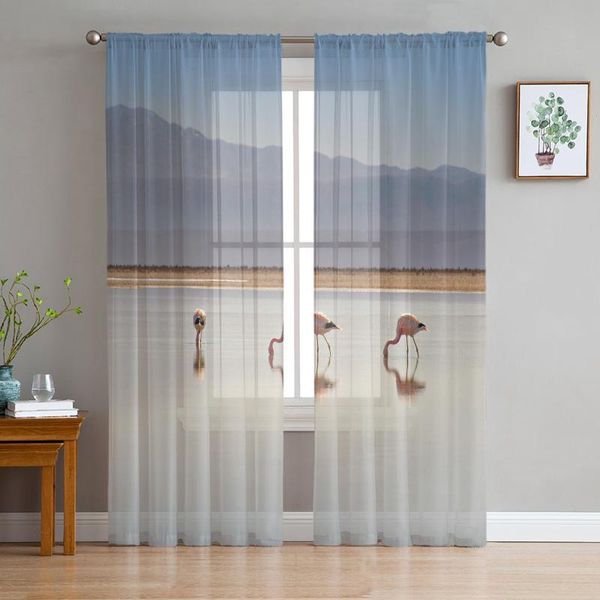 curtain & drapes modern sheer curtains flamingo lake alpine living room kitchen children's decoration household chiffon window
curtain & drapes modern sheer curtains flamingo lake alpine living room kitchen children's decoration household chiffon window
