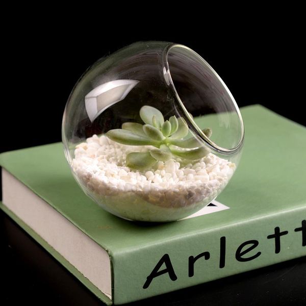 betty store 120pcs/pack diameter=8cm side open glass vase oblique mouth terrarium home decorative creative friend gift novelty items
betty store 120pcs/pack diameter=8cm side open glass vase oblique mouth terrarium home decorative creative friend gift novelty items