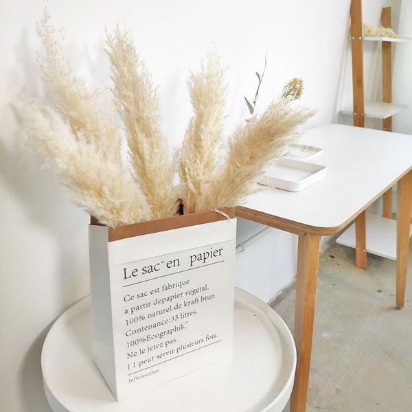 natural pampas grass real dried reed flowers decorations for decor home wedding christmas decoration flower bouquet arrangement decorative &
natural pampas grass real dried reed flowers decorations for decor home wedding christmas decoration flower bouquet arrangement decorative &