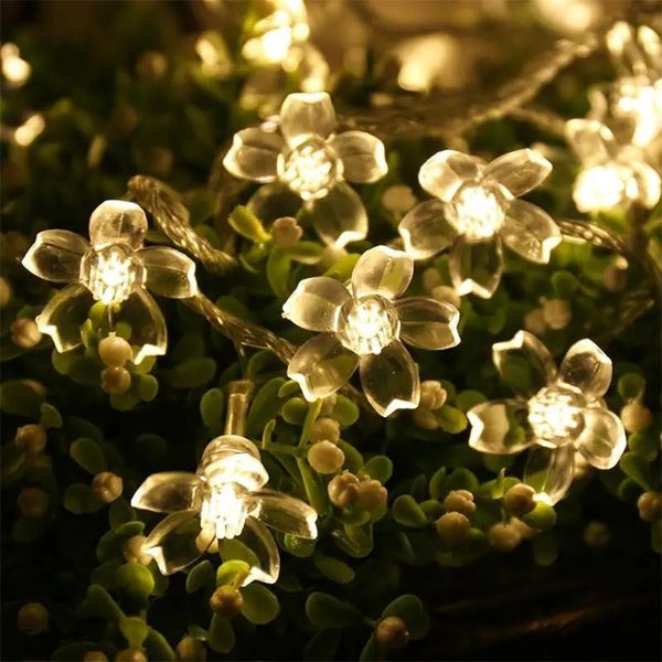 strings star lantern curtain light string fairy christmas wedding party decoration cherry blossom
strings star lantern curtain light string fairy christmas wedding party decoration cherry blossom