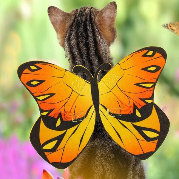 cat costumes butterfly wing pet cross dressing funny cute cosplay clothing accessories multicolor party back decoration
cat costumes butterfly wing pet cross dressing funny cute cosplay clothing accessories multicolor party back decoration
