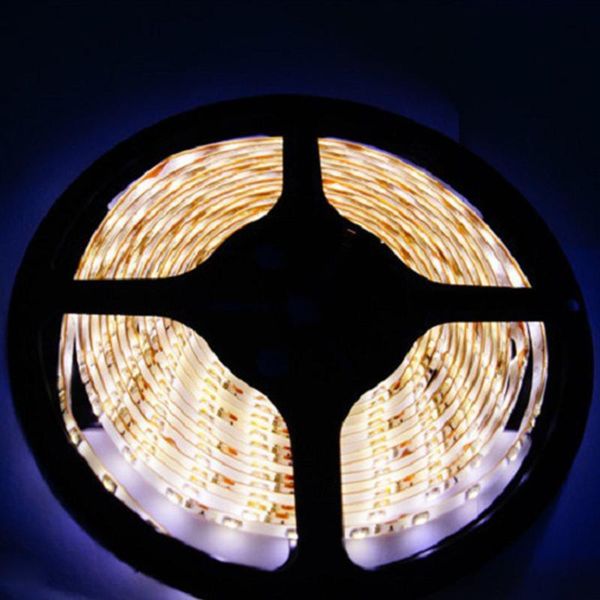 strips 12v 2835 ourdoor waterproof garden yard home decor party festival universal lawn led strip light landscaping easy install indoor
strips 12v 2835 ourdoor waterproof garden yard home decor party festival universal lawn led strip light landscaping easy install indoor