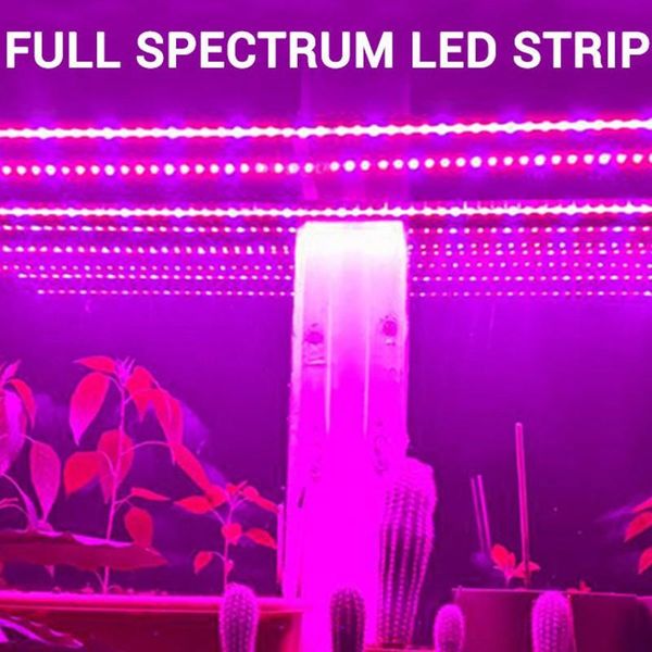 1pcs 10w led grow light usb portable plant dc5v full spectrum phyto lamp 21 leds rotation flexible indoor lights
1pcs 10w led grow light usb portable plant dc5v full spectrum phyto lamp 21 leds rotation flexible indoor lights