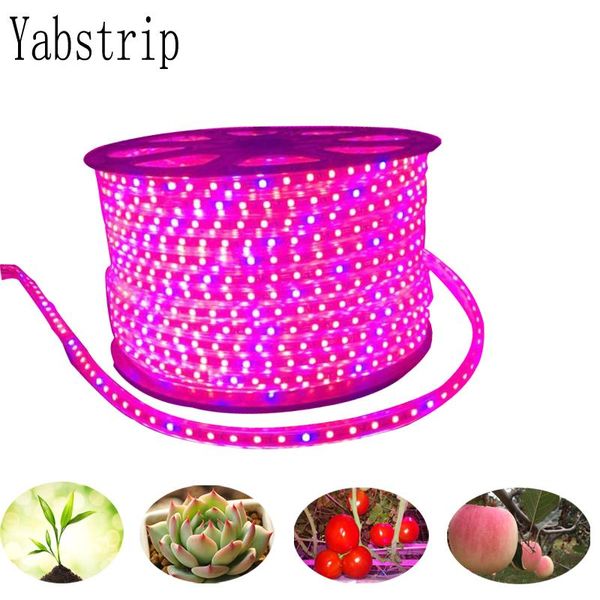 led grow light spectrum 220v strip phyto lamp for indoor plants greenhouse hydroponic fitolampy lights
led grow light spectrum 220v strip phyto lamp for indoor plants greenhouse hydroponic fitolampy lights