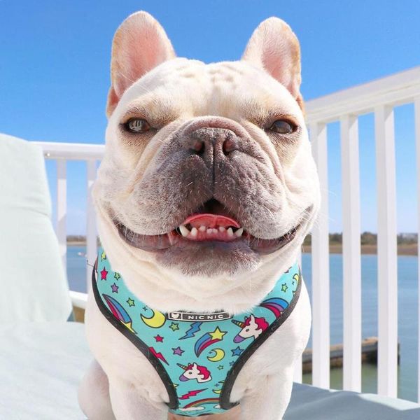 dog collars & leashes fashion collar for pet french bulldogs small puppy harnesses dogs breathable mesh leash pugs
dog collars & leashes fashion collar for pet french bulldogs small puppy harnesses dogs breathable mesh leash pugs