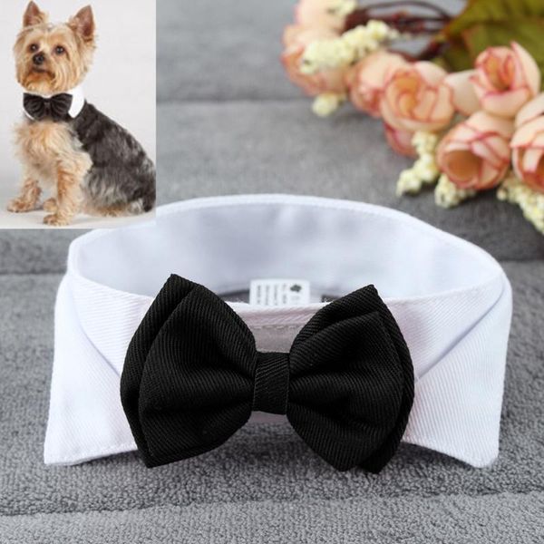 dog apparel cute stylish cat pet puppy teddy toy adjustable bowknot tie necktie collar party clothes
dog apparel cute stylish cat pet puppy teddy toy adjustable bowknot tie necktie collar party clothes