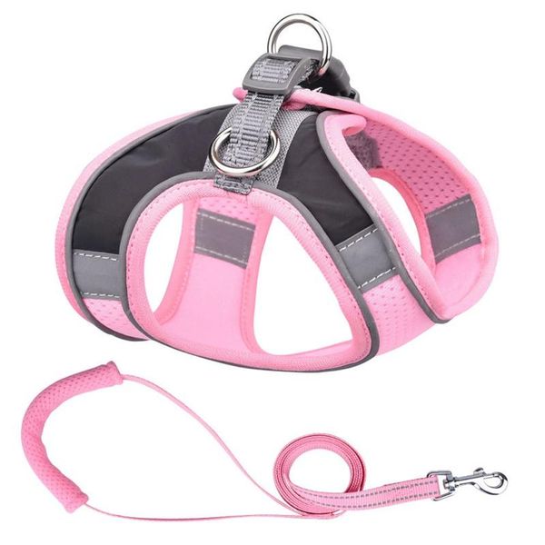 dog collars & leashes cat soft reflective mesh breathable harness with leash choke-double padded adjustable neck and chest
dog collars & leashes cat soft reflective mesh breathable harness with leash choke-double padded adjustable neck and chest
