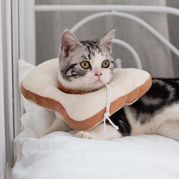 cat collars & leads protective collar for cat, cats cervical adjustable soft anti bite safty wound healing restoration small pets
cat collars & leads protective collar for cat, cats cervical adjustable soft anti bite safty wound healing restoration small pets