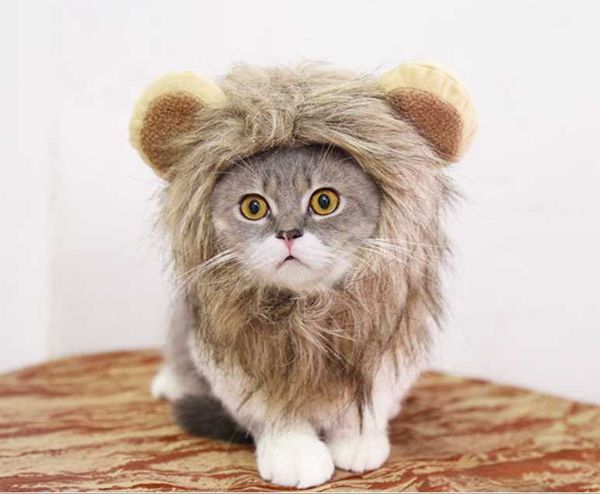 cat costumes pet costume lions hair mane ears wig caps for cats dogs halloween christmas party dress up fancy
cat costumes pet costume lions hair mane ears wig caps for cats dogs halloween christmas party dress up fancy