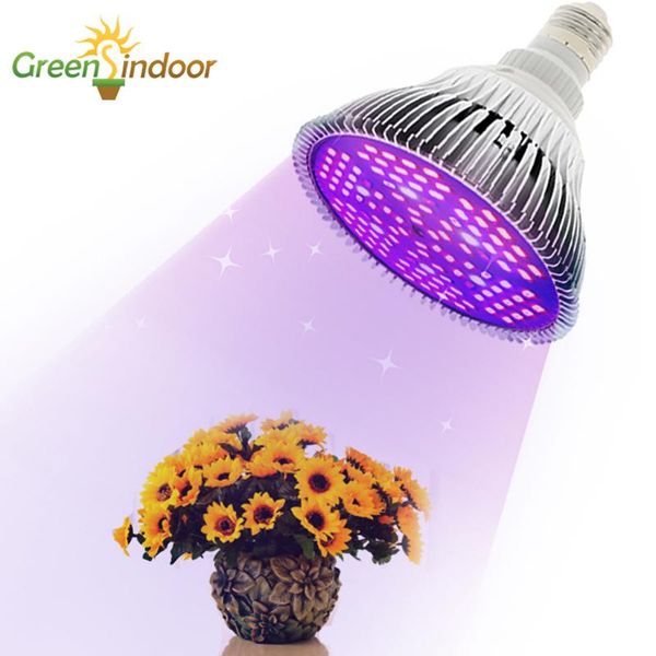 grow light 30w lamp red blue uv ir phyto for plants full spectrum phytolamps indoor orchids growing bulb fitolampy lights
grow light 30w lamp red blue uv ir phyto for plants full spectrum phytolamps indoor orchids growing bulb fitolampy lights