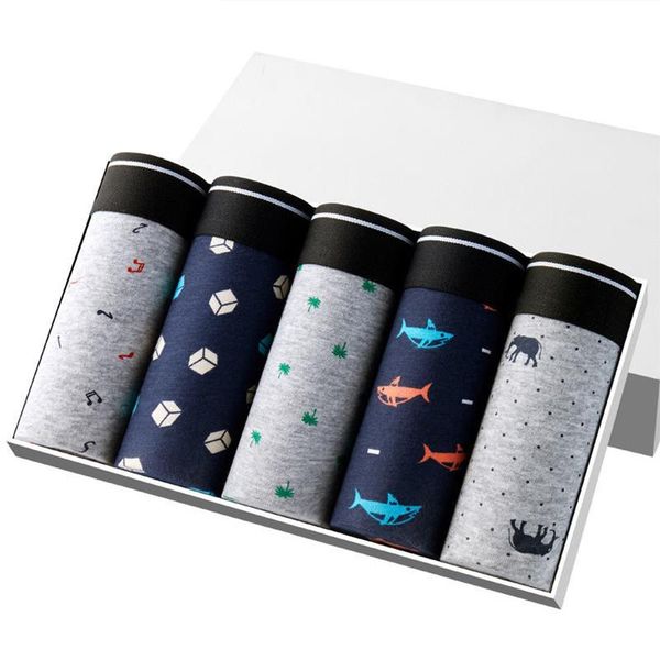 underpants 5pcs\lot shorts men's underwear soft boxers men cotton boxer plus size panties, Black;white 
underpants 5pcs\lot shorts men's underwear soft boxers men cotton boxer plus size panties, Black;white