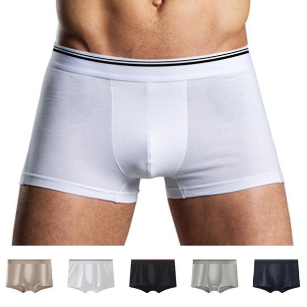 underpants -3xl 2021 men's large size underwear stretch mid-waist comfortable plus boxer briefs male cotton solid color shorts, Black;white
underpants -3xl 2021 men's large size underwear stretch mid-waist comfortable plus boxer briefs male cotton solid color shorts, Black;white