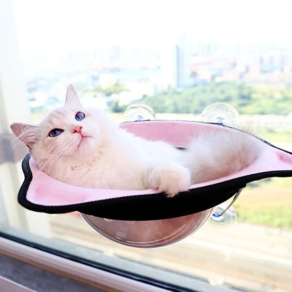cat beds & furniture hammock bed window space hood suction cups cats resting seat for pet rest house soft and comfortable transparent
cat beds & furniture hammock bed window space hood suction cups cats resting seat for pet rest house soft and comfortable transparent