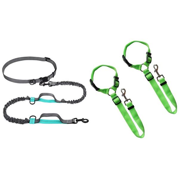 pcs pet accessories: 1 hands waist dog leash with dual bungees & 2 cat safety seat belt strap green collars leashes
pcs pet accessories: 1 hands waist dog leash with dual bungees & 2 cat safety seat belt strap green collars leashes