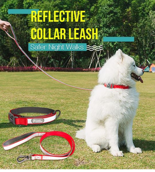 nylon pet cat dog collar harness lead leash for small medium dogs adjustable with reflection zone supplies collars & leashes
nylon pet cat dog collar harness lead leash for small medium dogs adjustable with reflection zone supplies collars & leashes