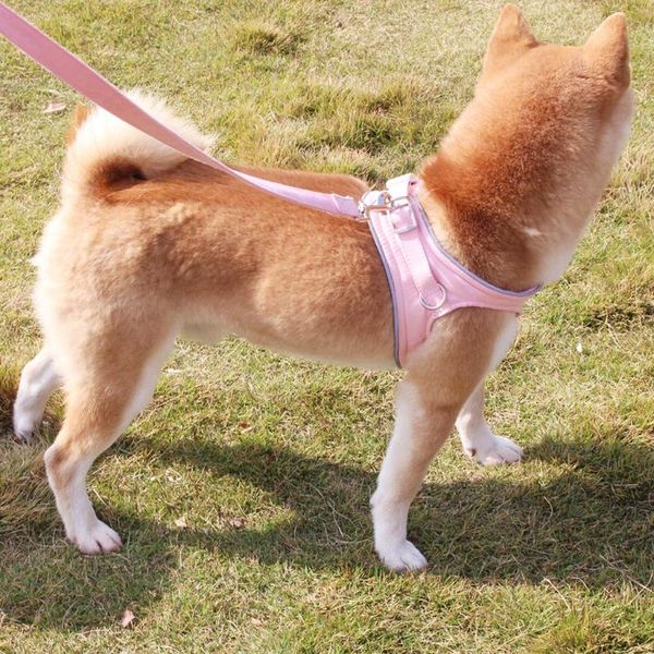 adjustable suede dog chest strap explosion-proof reflective pet red traction rope vest walk collars & leashes
adjustable suede dog chest strap explosion-proof reflective pet red traction rope vest walk collars & leashes