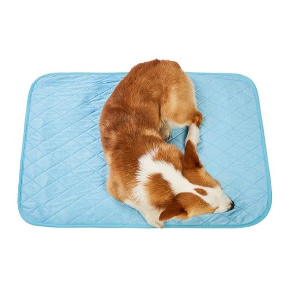 kennels & pens cat dog summer ice silk waterproof pad changing detachable washable cool mattress suitable for small medium dogs
kennels & pens cat dog summer ice silk waterproof pad changing detachable washable cool mattress suitable for small medium dogs