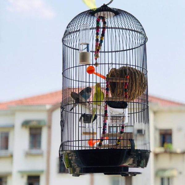 bird cages mail black and white large round birdcage thrush tiger skin peony parrot pearl metal cage hanging spillproof box
bird cages mail black and white large round birdcage thrush tiger skin peony parrot pearl metal cage hanging spillproof box