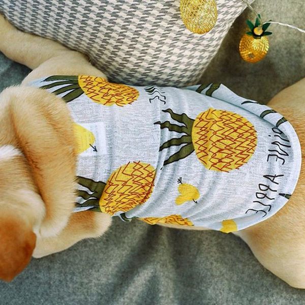 dog apparel summer clothes for small dogs vest outfit cool mesh pet shirt puppy clothing
dog apparel summer clothes for small dogs vest outfit cool mesh pet shirt puppy clothing