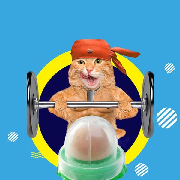 cat toys nutrition catnip sugar solid strong energy ball healthy snack licking candy cats lovely
cat toys nutrition catnip sugar solid strong energy ball healthy snack licking candy cats lovely