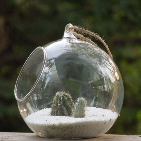novelty items 48pcs/pack diameter=8cm little higher open glass terrarium vase hanging globe beautiful home decorative
novelty items 48pcs/pack diameter=8cm little higher open glass terrarium vase hanging globe beautiful home decorative