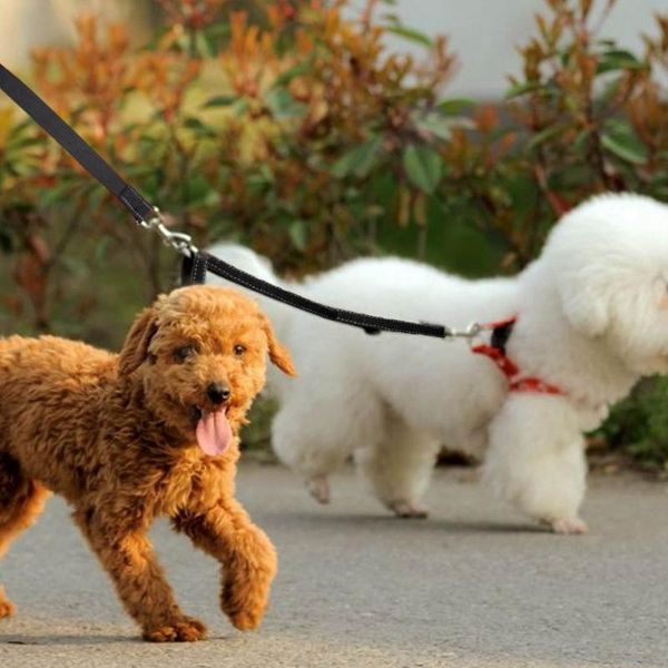 dog leash double pet nylon lead no coupler with handle for walking and training 2 small medium dogs pull rope collars & leashes
dog leash double pet nylon lead no coupler with handle for walking and training 2 small medium dogs pull rope collars & leashes
