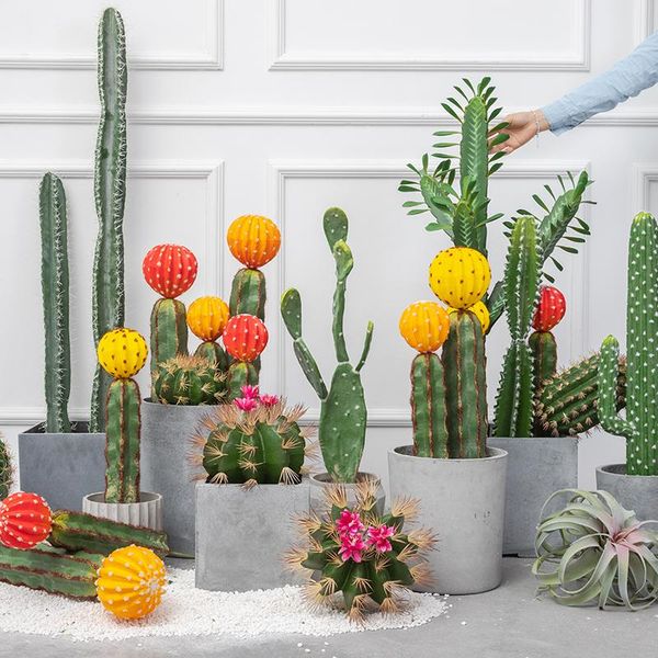 decorative flowers & wreaths nordic simulation color cactus immortal column potted plant window decoration artificial fake plants house bons
decorative flowers & wreaths nordic simulation color cactus immortal column potted plant window decoration artificial fake plants house bons