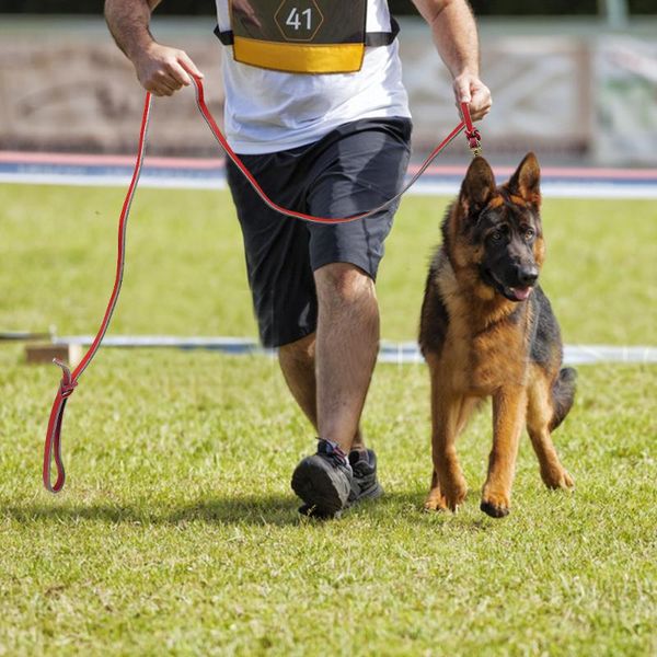 dog collars & leashes leash for german shepherd genuine leather training rope medium and large pet leads
dog collars & leashes leash for german shepherd genuine leather training rope medium and large pet leads