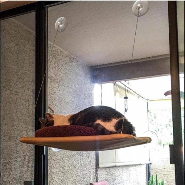 cat beds & furniture sucker pet hanging bearing 20kg bed sunny seat cloth fabric sofa dogs cats house
cat beds & furniture sucker pet hanging bearing 20kg bed sunny seat cloth fabric sofa dogs cats house
